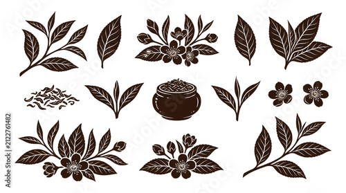 Collection of brown coffee plant icons, including branches, leaves, beans, flowers, and berries isolated on white background for design elements