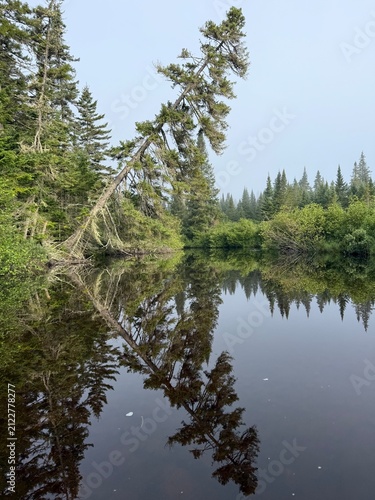 Canadian summer landscape in north of Quebec