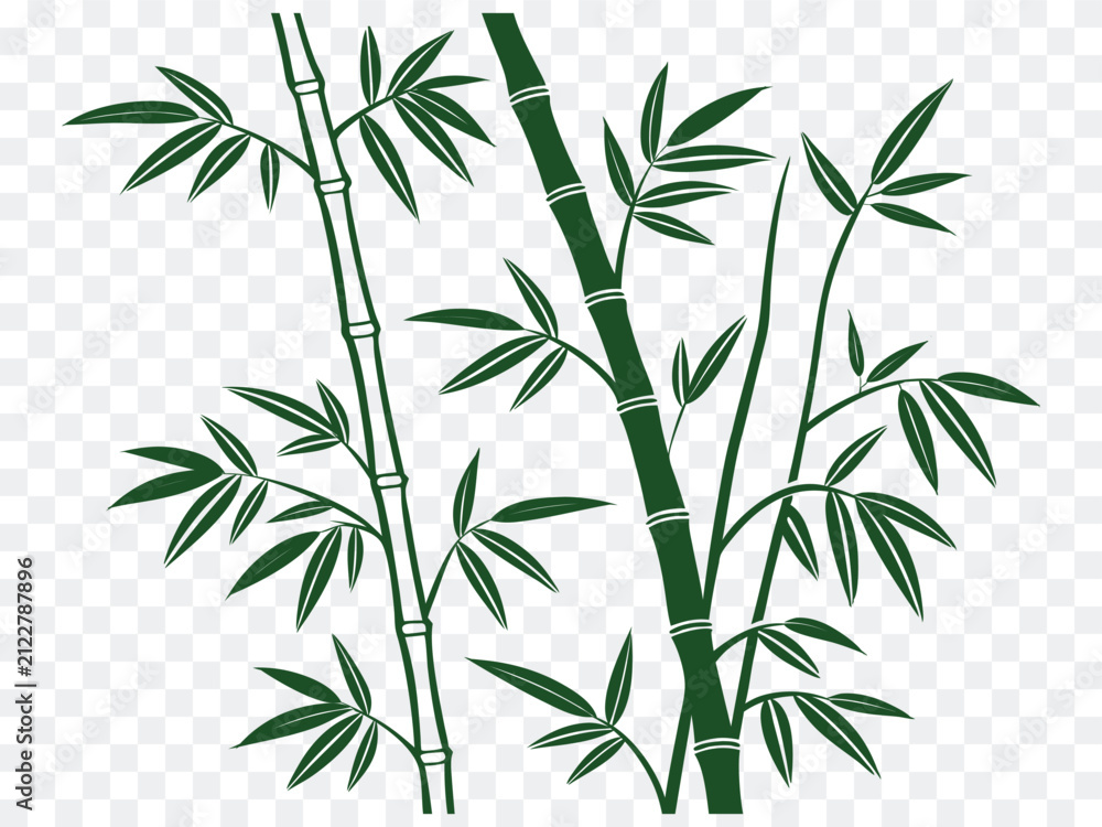 Obraz premium Green bamboo line art illustration with elegant stems and leafy branches in natural botanical style. Perfect for eco branding, Asian themes, garden designs, and nature projects. Clean vector isolated 