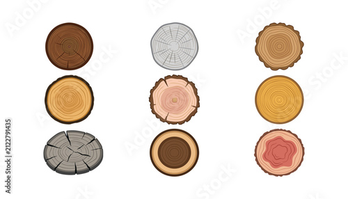 Bild auf Leinwand Wood cross section vector elements collection with tree trunk rings saw cut stum
