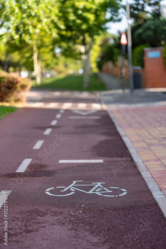 Bicycle symbol painted on a red urban cycle lane beside a paved pedestrian walkway