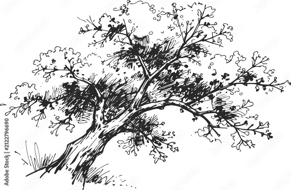 Fototapeta premium Black and white sketch of a leaning tree with branches and leaves in ink drawing