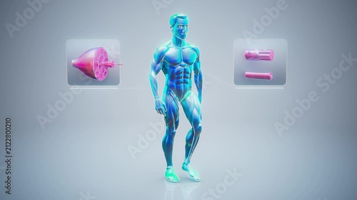 Conceptual 3D animation of an anatomical muscle man