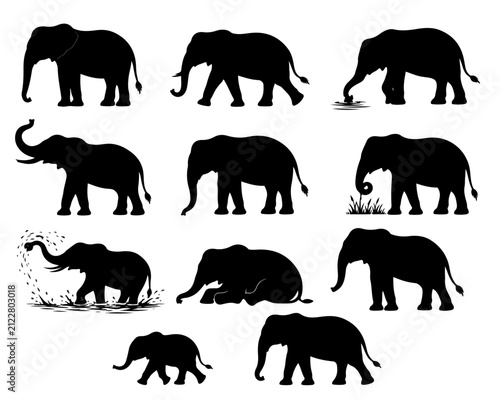 Photography elephants silhouettes vector