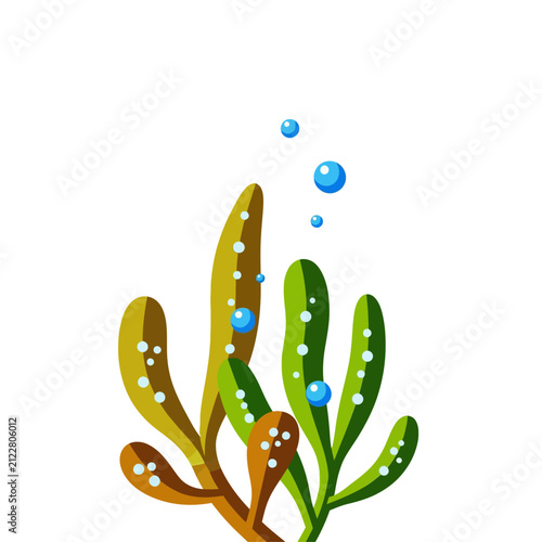 Bild auf Leinwand Bladder Wrack Seaweed Vector Icon
