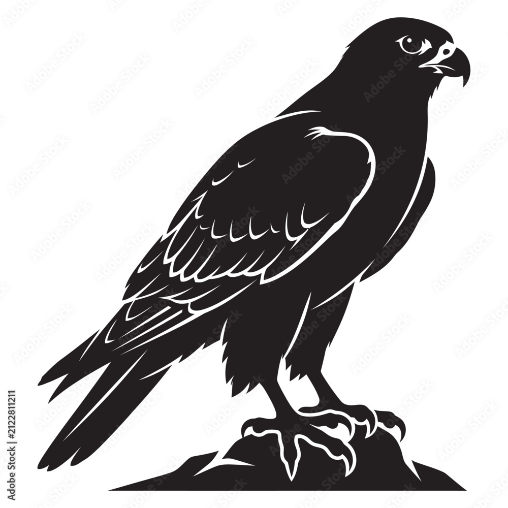 Fototapeta premium Desert falcon, black and white vector silhouette, pure white background.
