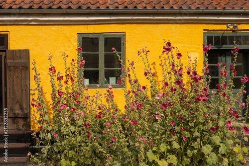 Countryside view of Skåne homes and Danish yellow facades in evening glow