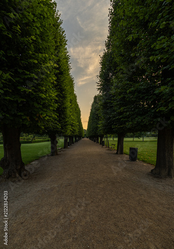 Gentle sunlight unveiling Rosenborg’s leafy pathways in peaceful Scandinavian atmosphere