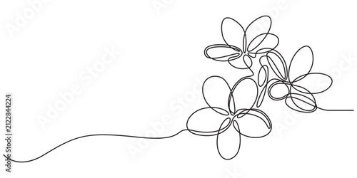 Plumeria flowers in continuous line art drawing style. Minimalist black line sketch on white background, Plumeria flowers in continuous one  line art drawing. Frangipani blossom. Vector illustration.