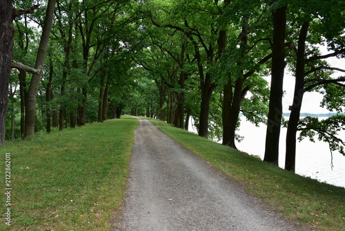 landscape od cycle way in region of town Trebon in Czech republic