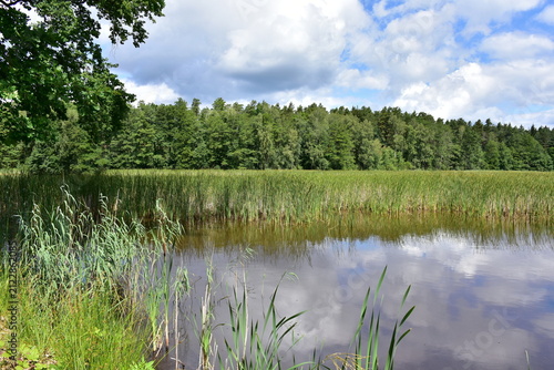 landscape od cycle way in region of town Trebon in Czech republic