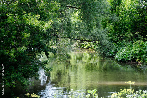 Peaceful forest river surrounded by lush green trees with reflections on calm water. Summer woodland landscape, untouched nature and tranquil outdoor scenery.