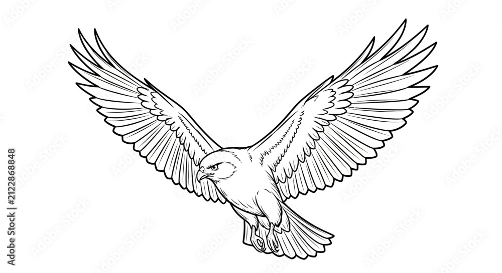Obraz premium Black and white line art sketch of a soaring hawk with sharp wing outlines