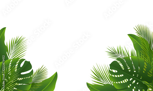 Green Palm Tree Branch Frame White Background