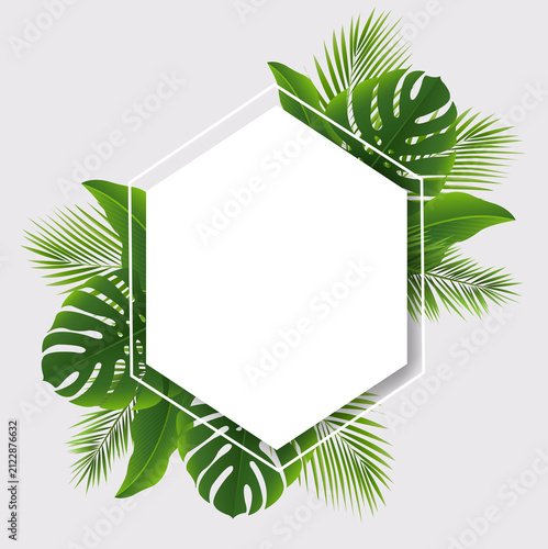 Palm Tree Branch With Banner White Background