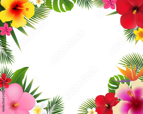 Summer Tropical Flowers And Frangipani Banner