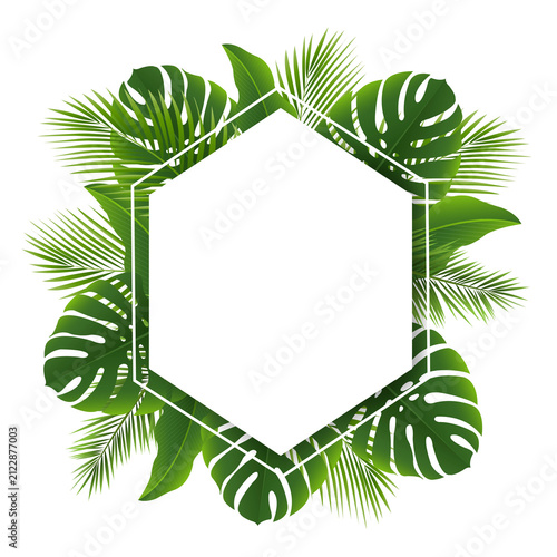 Tropic Palm Tree Branch With Banner White Background