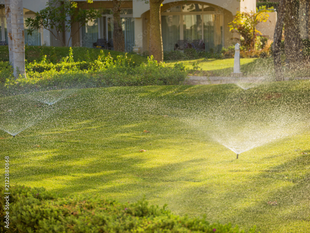 Obraz premium Automatic Irrigation System Watering Lush Green Lawn in Luxury Hotel Resort Garden, Smart Sustainable Water Conservation and Eco Friendly Landscaping Maintenance Concept in Hot Summer Weather