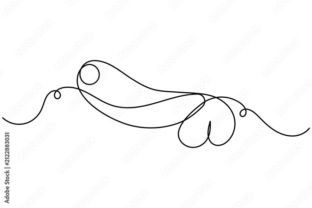 Obraz premium Male reproductive system and penis icon continuous one line drawing on white background minimalist man sexual gland symbol outline vector illustration