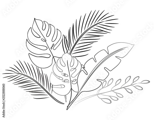 Delicate line sketch of tropical foliage