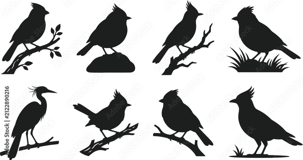 Fototapeta premium Bird silhouettes collection black shapes on a white background