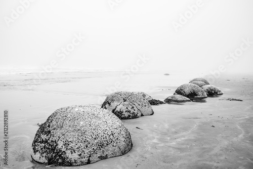 Photography Moeraki Boulders, New Zealand – Misty Coastal Landscape