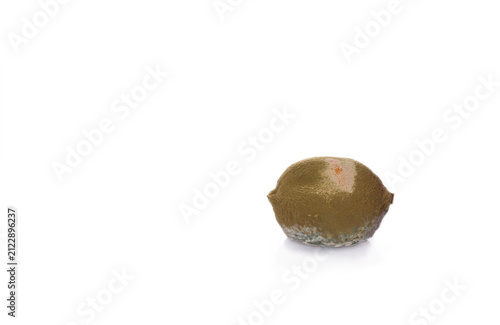 Quadro su tela moldy lemon on a white background, isolate,