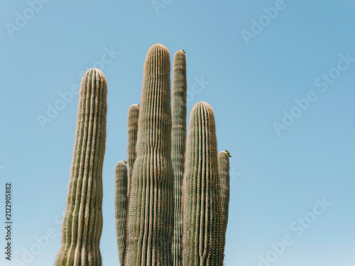 Family Portrait