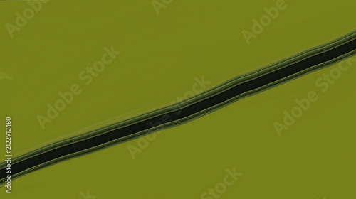 Quadro su tela Minimalist diagonal dark line on bright olive green background with diagonal