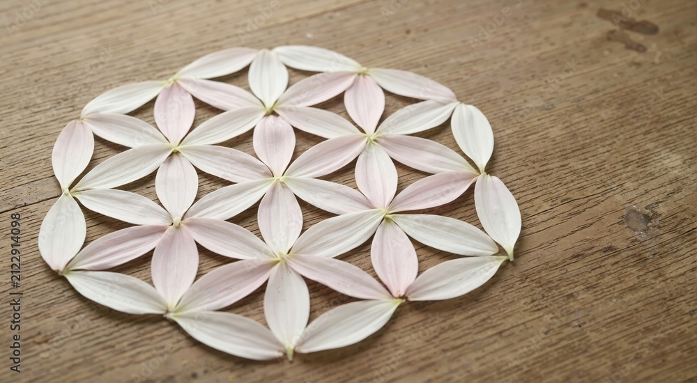Fototapeta premium Sacred geometry flower of life pattern made of white flower petals. Floral mandala on wooden background