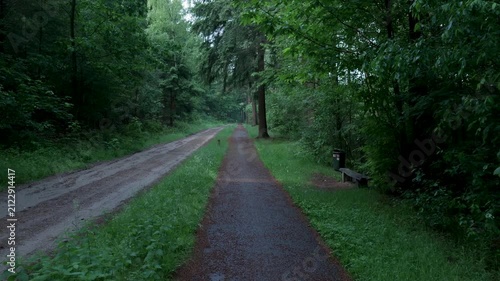Point of view walking on a path in a green forest