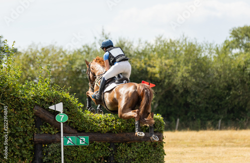 Event rider and horse jumping a hedge on a cross country course at a horse trials. Event Rider in action. Horse and rider in motion.