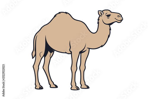 Quadro su tela Graphical Element of a Camel portrait in transparent background