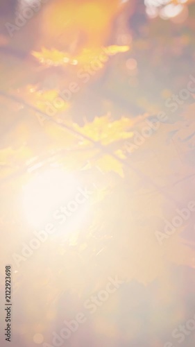 In a tranquil forest at dusk, sunlight streams through golden autumn leaves, casting warm light across the understory and highlighting the natural scenery, creating an inviting atmosphere, concept