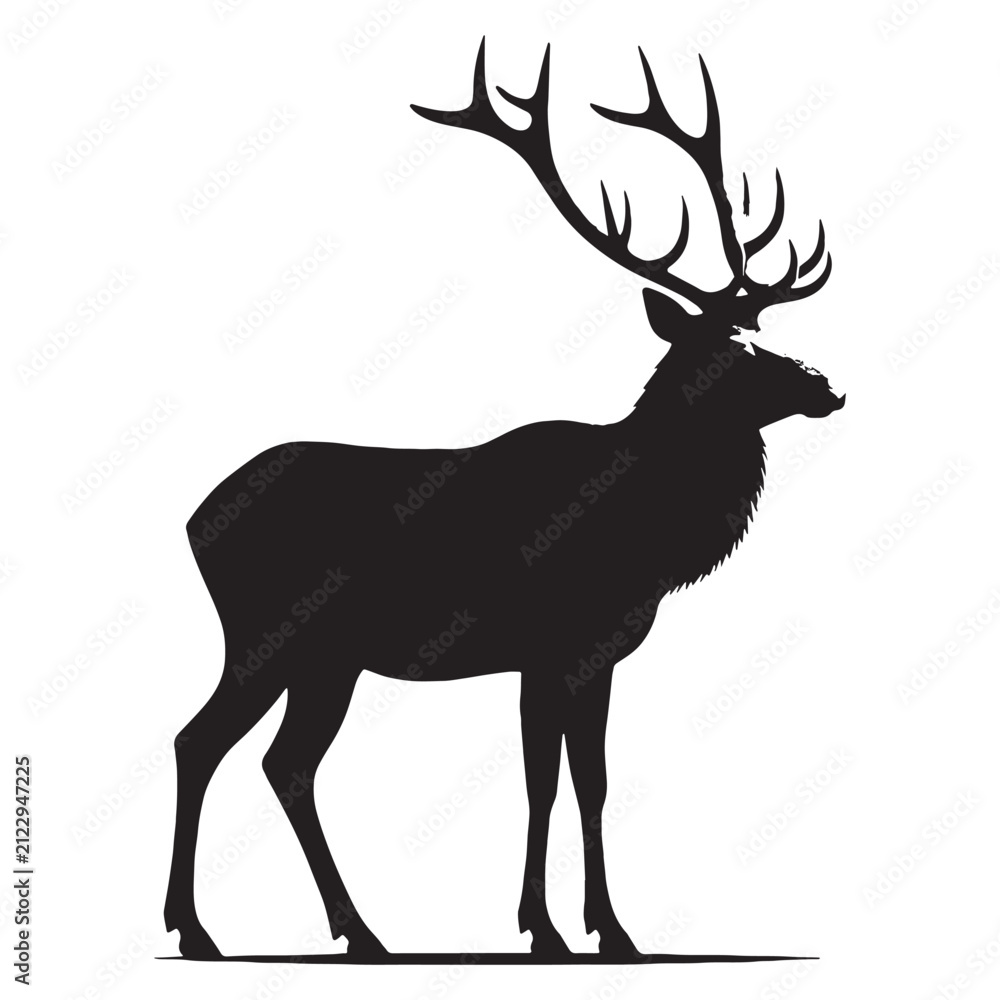 Fototapeta premium The elk is one of the largest members of the deer family. It lives in forests, mountains, and grasslands. Elk have strong legs and large antlers, which grow on the males. They eat grass, leaves.