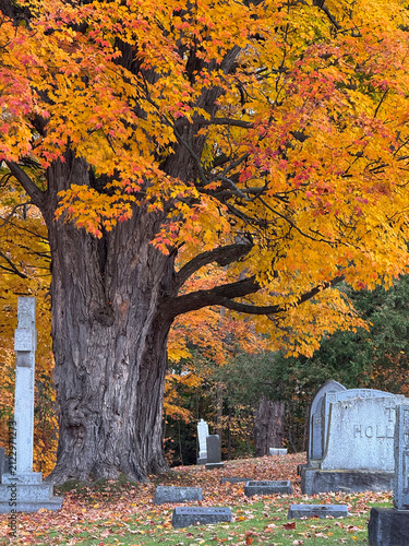Autumn Cemetery