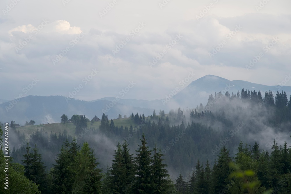 Naklejka premium After the rain: Misty Carpathian mountain range, scenic landscape