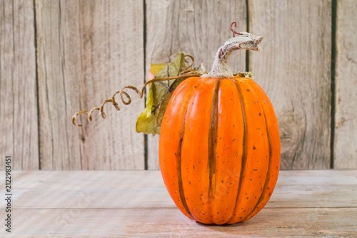 Fotografie pumpkin on wooden background