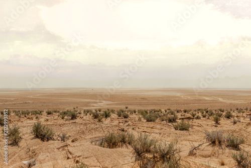 Sandy desert scrubland stretching to a hazy horizon under a pale washed out sky
