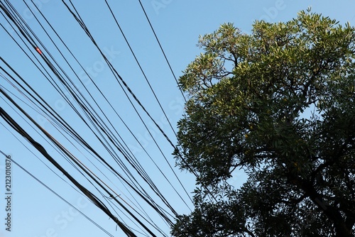 A contrast scene between cables and tree canopy against blue sky, portraying technology and nature, suitable for technology, modern life, or telecommunication themes. 