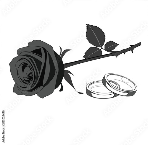 Vibrant Black Rose and Polished Silver Wedding Bands on Reflective White Surface.