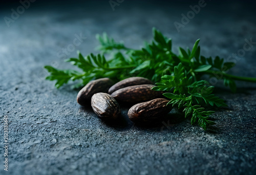 Jojoba seeds and green leav...