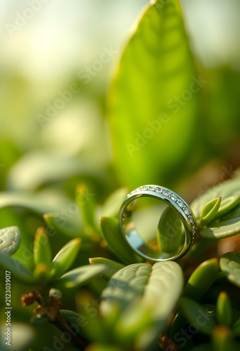 Diamond eternity ring resti...
