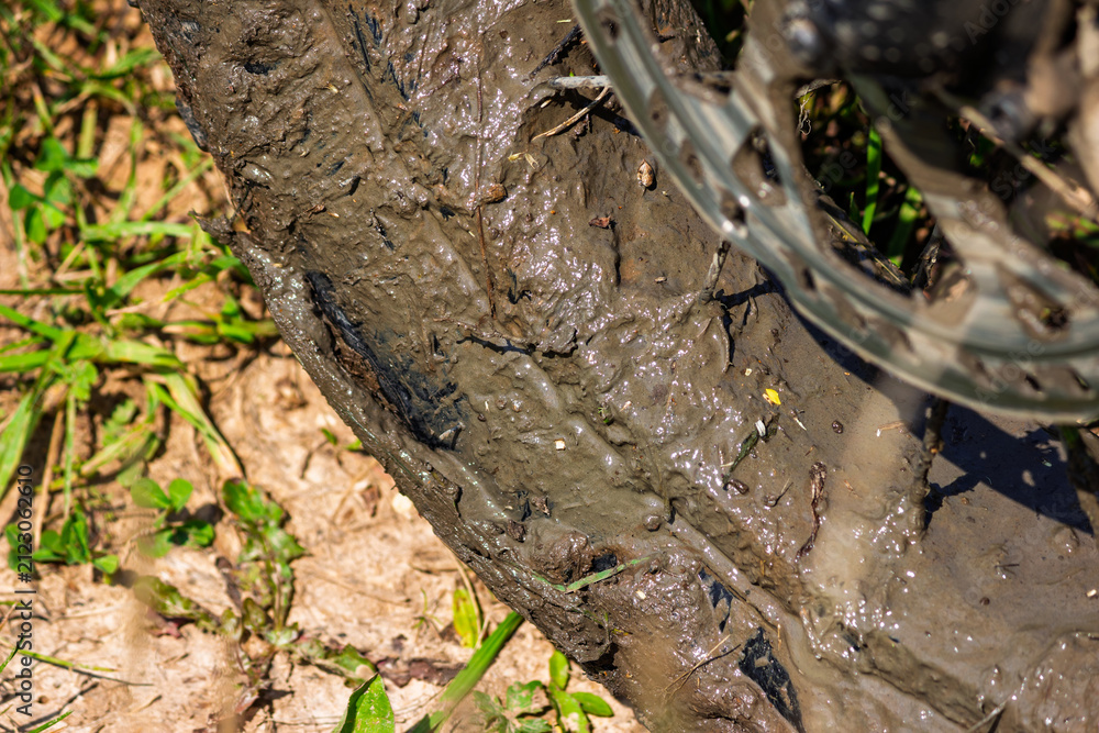 Fototapeta premium Close-up of a thick e-bike tire heavily caked in mud after an intense off-road ride