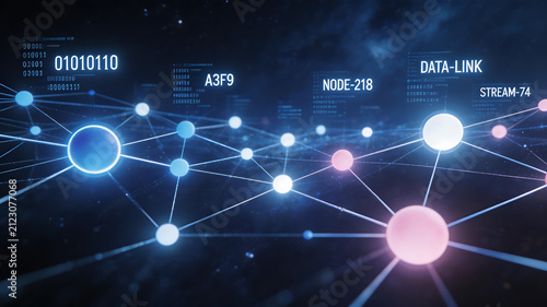 Digital network connections with data nodes