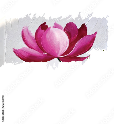 pink rose with water drops