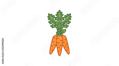 Bunch of three healthy garden carrots.