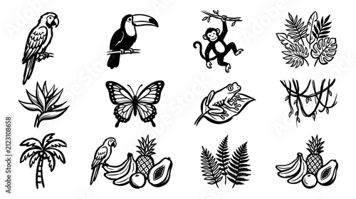 Photography Collection of tropical animals, plants, and fruits in black and white