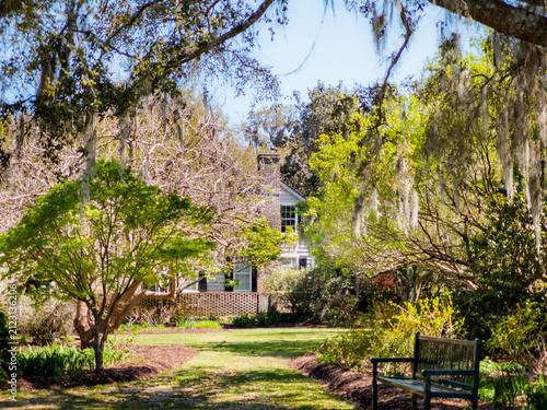 Obraz na plátne Historic Southern home nestled among lush trees draped with Spanish moss