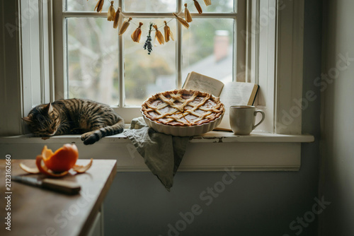 A contented domestic tabby cat sleeps on a rustic window sill next to a delicious golden homemade lattice crust pie an old open book a warm mug and dried autumn garland